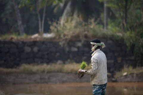Farmers Stock Photos