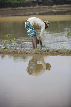 Farmers 스톡 사진