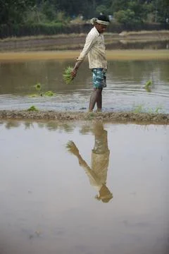 Farmers 스톡 사진