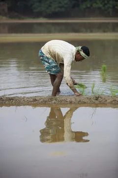 Farmers Stock Photos