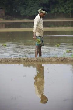 Farmers 스톡 사진