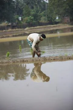 Farmers Stock Photos