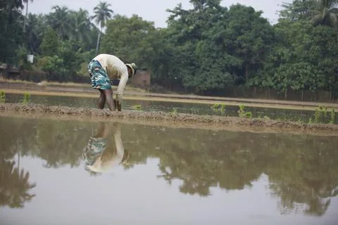 Farmers 스톡 사진
