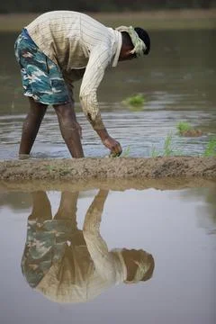 Farmers 스톡 사진