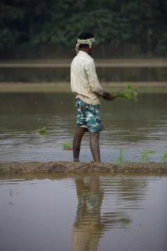 Farmers 스톡 사진