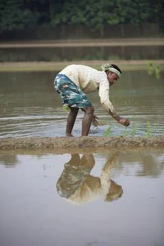 Farmers Stock Photos