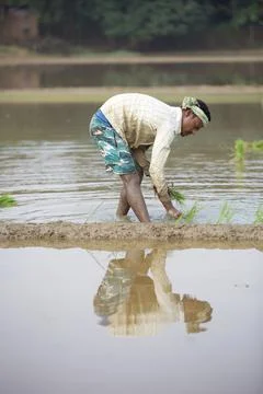 Farmers Stock Photos