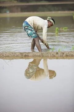 Farmers Stock Photos