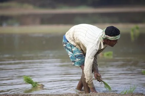 Farmers Stock Photos
