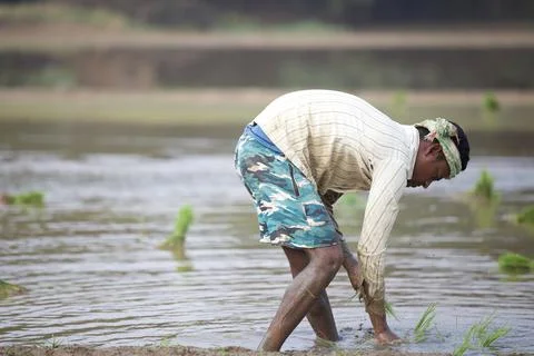 Farmers 스톡 사진