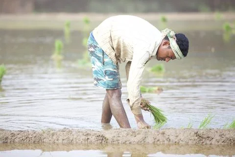 Farmers 스톡 사진