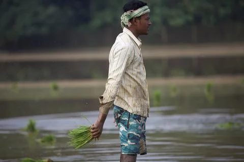 Farmers Stock Photos