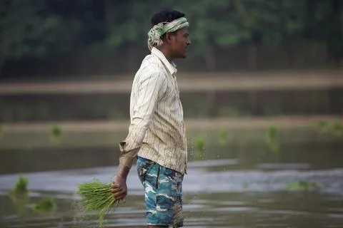 Farmers Stock Photos