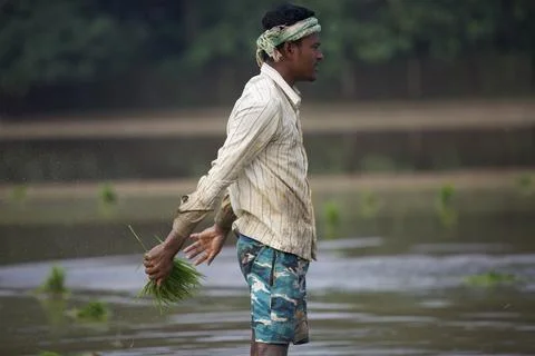 Farmers 스톡 사진