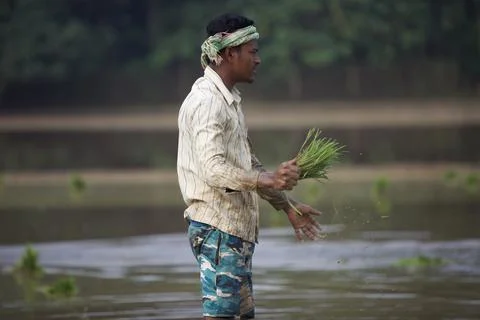 Farmers 스톡 사진