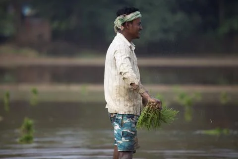 Farmers Stock Photos