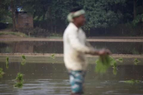 Farmers 스톡 사진
