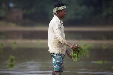 Farmers Stock Photos