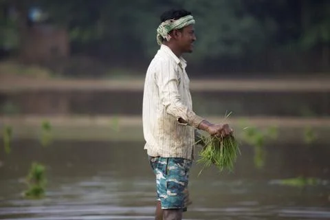 Farmers Stock Photos