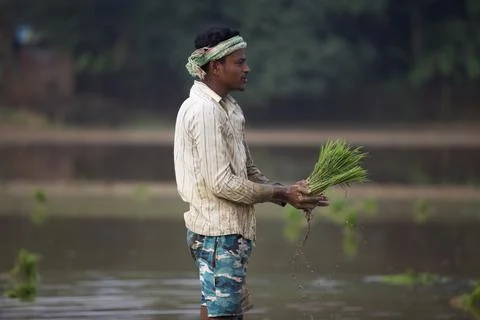 Farmers 스톡 사진