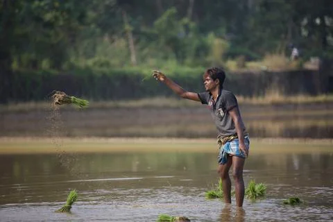 Farmers 스톡 사진