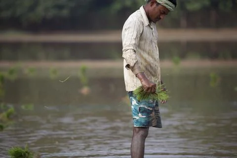 Farmers 스톡 사진