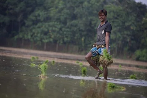 Farmers Stock Photos