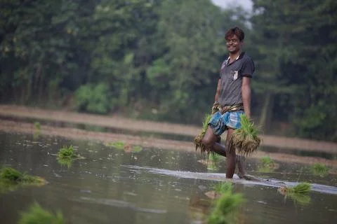 Farmers 스톡 사진