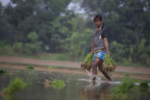 Farmers 스톡 사진