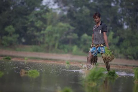 Farmers Stock Photos