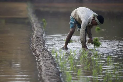 Farmers 스톡 사진