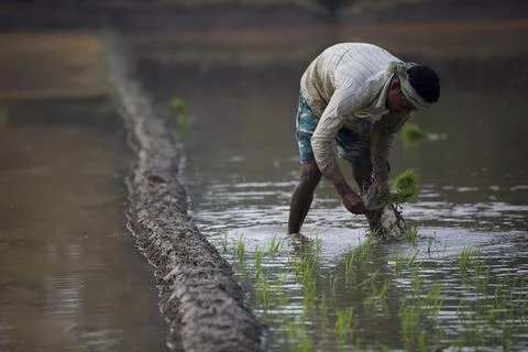 Farmers 스톡 사진