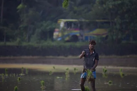 Farmers Stock Photos