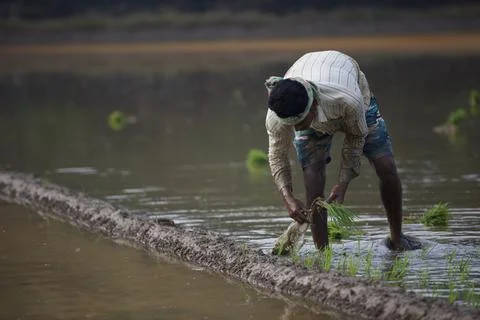 Farmers 스톡 사진