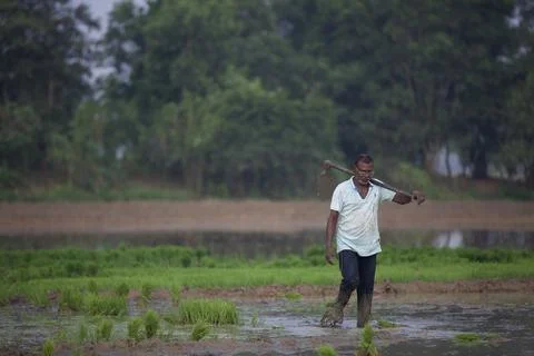Farmers Stock Photos