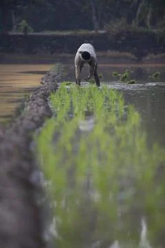 Farmers Stock Photos