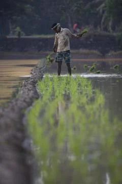Farmers 스톡 사진