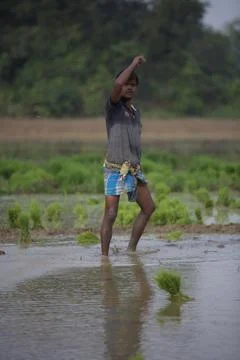 Farmers Stock Photos