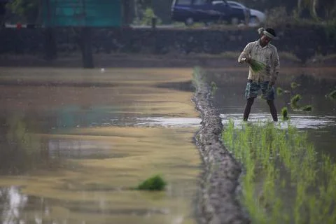Farmers Stock Photos