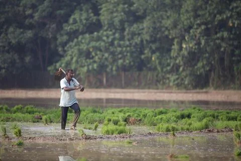 Farmers Stock Photos