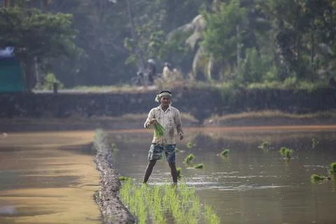 Farmers 스톡 사진