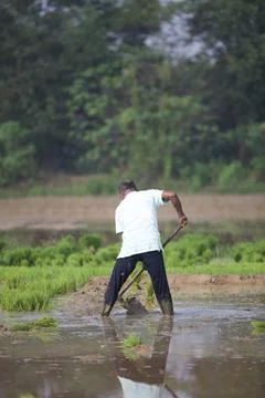 Farmers 스톡 사진