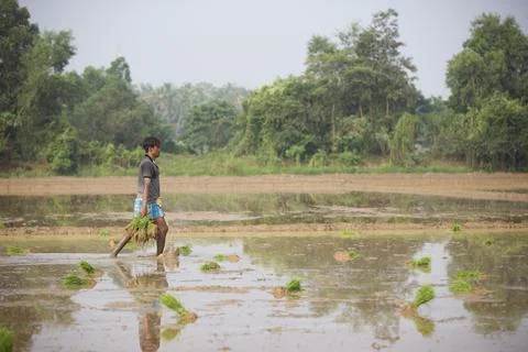 Farmers 스톡 사진