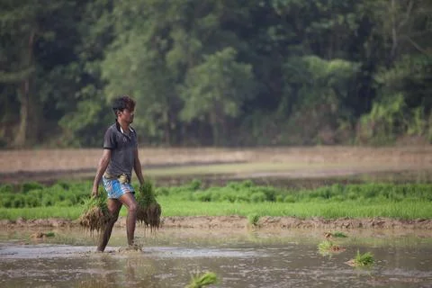 Farmers Stock Photos
