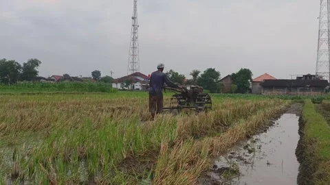 Farmers plow farm fields using modern tractors Video stock 308391838