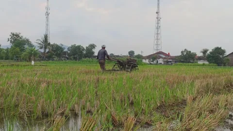 Farmers plow farm fields using modern tractors Video stock 308391842