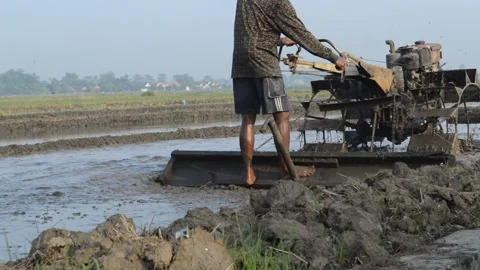 Farmers plow Video stock 228898194