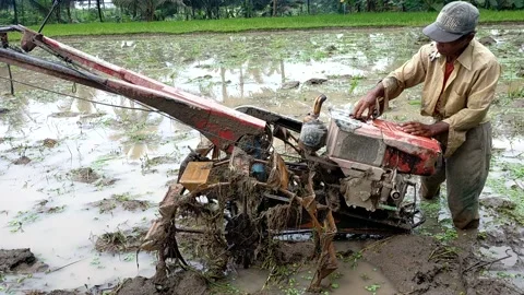 Farmers plow rice fields Video stock 178015606