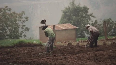 Farmers plowing field 動画素材 83551241