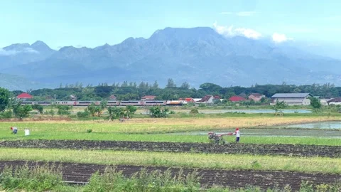 Farmers plowing rice fields with a view of trains and mountains in the morning Stock Footage 304793156